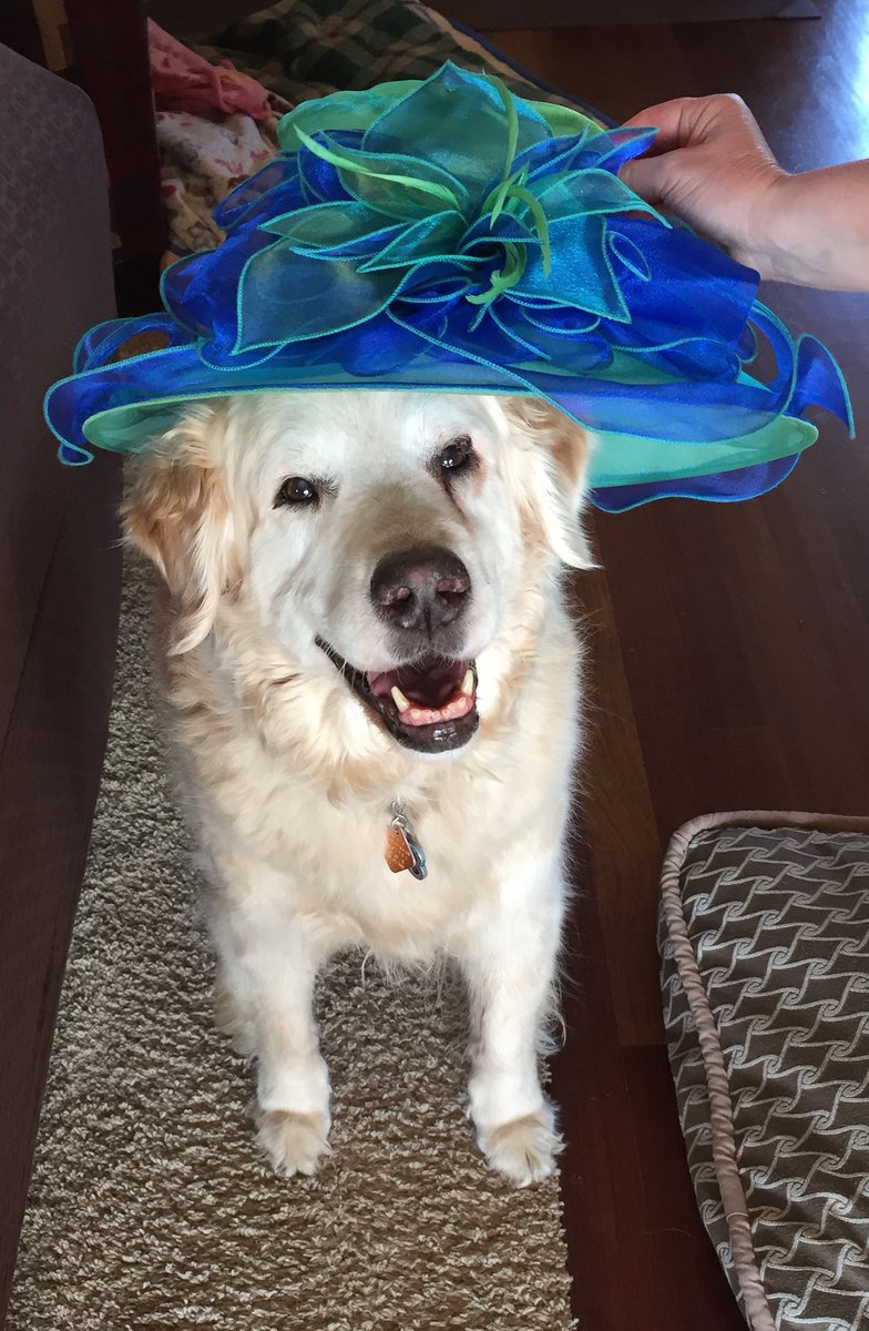cupcakearhee's tweet photo. Your next opportunity to find Clarence the Cupcake Truck is at Bark For Life at Pet Supply Port in Saukville on Friday, May 18 from 4-6pm.  We will have treats for humans and dogs! Woof! https://t.co/NLscSr9ayH