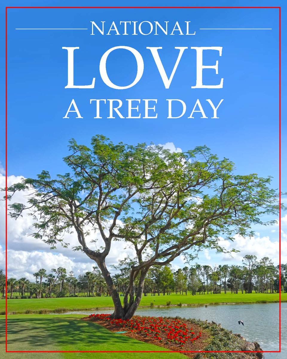 BushwoodTreeCo's tweet photo. Today is National Love a Tree Day! Show the trees on your property love with the best tree service around! 239.332.0015 #nationalloveatreeday #BushwoodTreeCo #love #trees https://t.co/yv9GQEqtwe