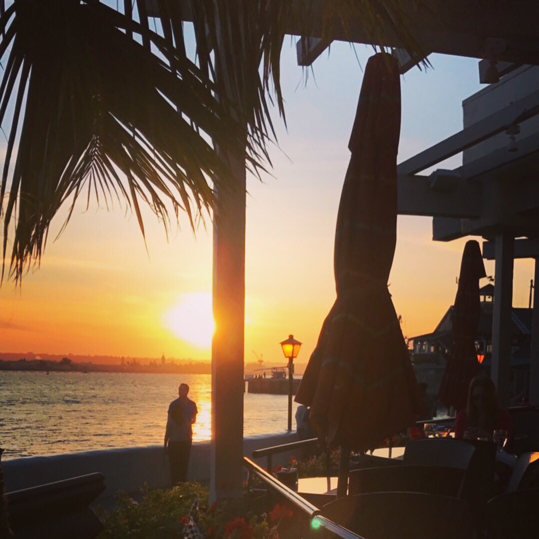 EdgewaterSD's tweet photo. To celebrate #LoveATreeDay 🌴 we’re highlighting this nugget that always gets included in our pics! 🌴 #palmtreesrule https://t.co/l9BLYkN4Ee