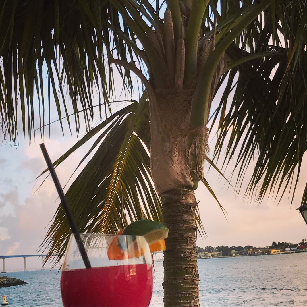 EdgewaterSD's tweet photo. To celebrate #LoveATreeDay 🌴 we’re highlighting this nugget that always gets included in our pics! 🌴 #palmtreesrule https://t.co/l9BLYkN4Ee