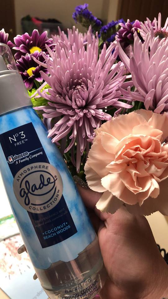 CrystalReilly16's tweet photo. Smells soooooo good!! @Glade #GotItFree Cant wait to get more!! https://t.co/mMWWjhikhq