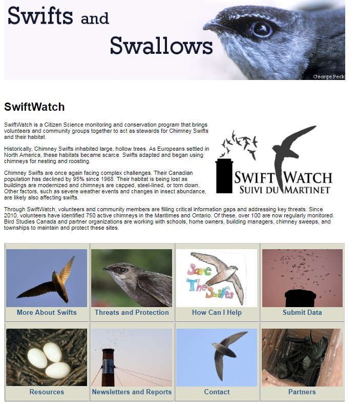 Volunteer4Birds's tweet image. This month I am volunteering at a #SwiftWatch surveyor.  Looking forward to helping out with a little bit of roost monitoring.  #Birds #Migration #CitizenScience birdscanada.org/volunteer/ai/