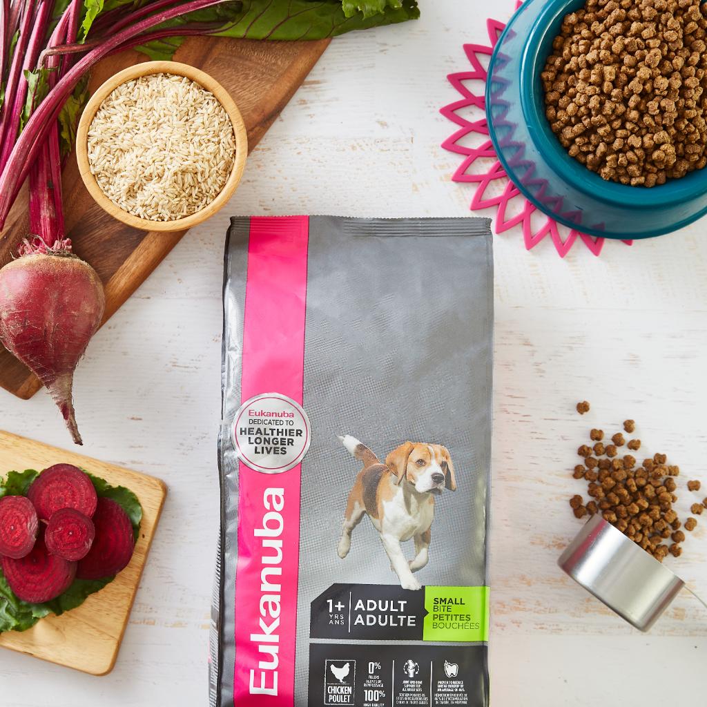 eukanuba small bites