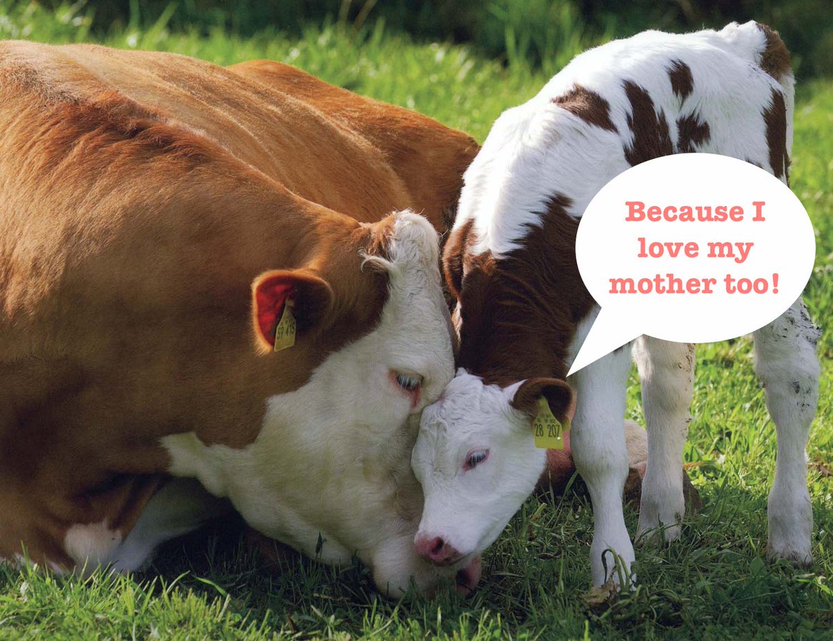 SimpleFoods's tweet photo. Thank you to all the Simple Foodies who helped us reach 7,000 people with our #DairyFree for #ADayForAllMothers message!!! https://t.co/4ledFJQ825