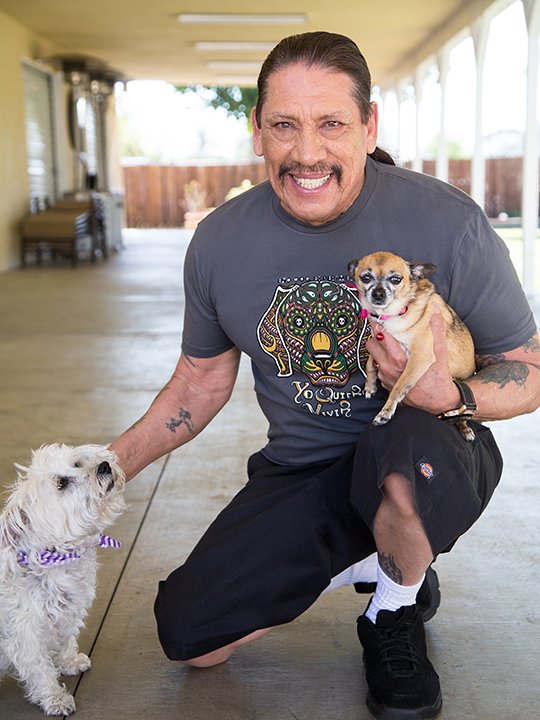 Happy birthday Danny Trejo! We hope you get to pet some cute pups today! 