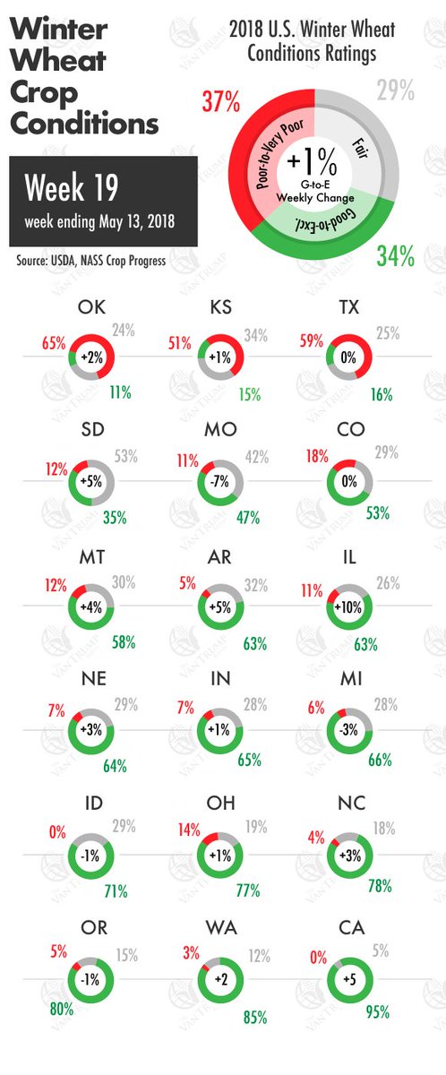 KevinVanTrump's tweet photo. Winter Wheat Crop Conditions: Week 19
The Van Trump Report Trial: https://t.co/uV7VSN9AOp
#wheat #conditions #unitedstates #agriculture #farming #crops #grains #commodity #vantrumpreport #cropprogress #usda #agoutlook #agtwitter https://t.co/9QHG0b8Z3C