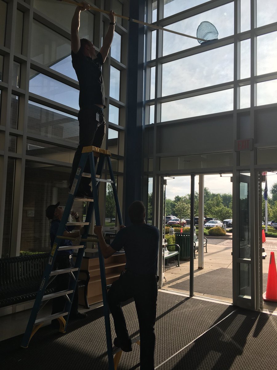 MrsCarnesWWS's tweet photo. Thank you @WestfieldPolice for always going above and beyond for us! Today started with a successful bird rescue from our vestibule! The lives of two birds and a hacky sack were saved! ๐๐๐๐ด #OfficerLarrison #OfficerDaniels #RocksAchieve https://t.co/8R2Ik9ejzL