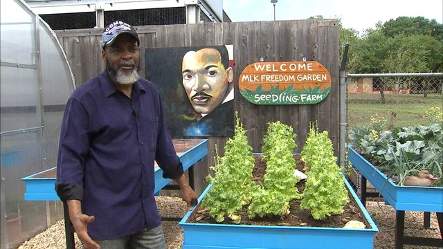 FOX4's tweet image. SMU grad student works to fix Dallas food deserts dlvr.it/QT5ZtT