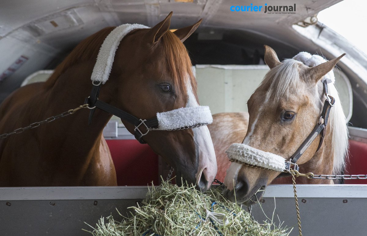 Scott Utterback tweet media