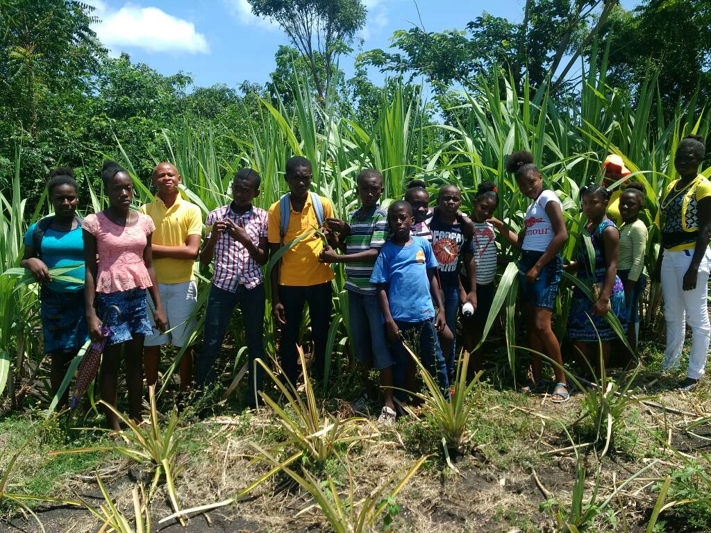 COHaitiProject's tweet photo. Students at St. Paul's School learned to plant trees earlier this month at a new festival celebrating the Earth! https://t.co/iAFrNJaSBt