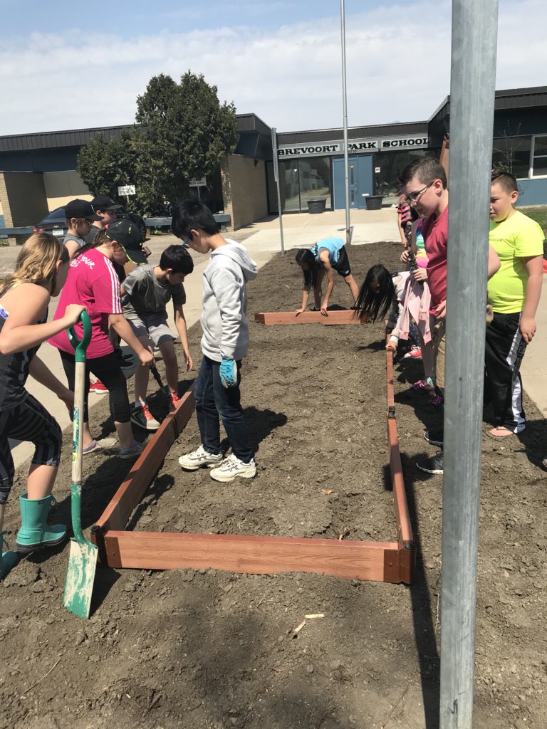 BrevoortPark's tweet photo. Shovels hit the soil today to fill the garden boxes. Tomorrow is planting day for our first outdoor garden classroom. Thank-you, @CoopFCL and Geransky Construction!!  #spslearn #itscalledsoilnotdirt https://t.co/52Mdn7sVVa