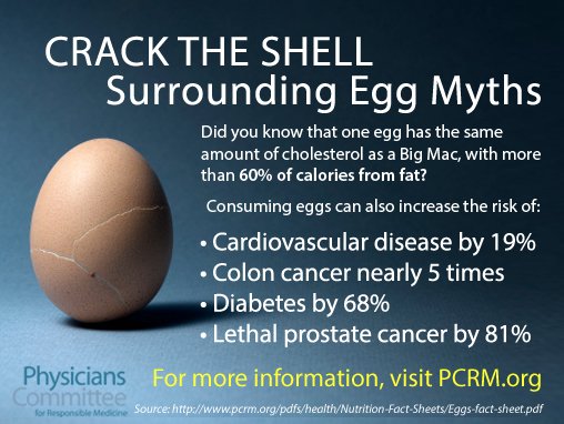 Neal Barnard, MD on X: Eggs are packed with cholesterol and fat, and they  can raise the risk for heart disease, type 2 diabetes, and other chronic  diseases. We address egg myths