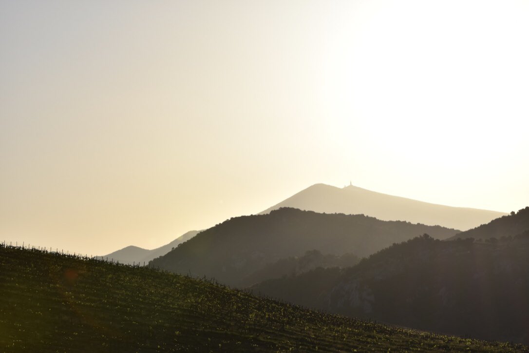 Magnifique lever de soleil sur le Mont Ventoux.
What a wonderful sunrise over the Mont Ventoux !
#DomainedeCoyeux #MontVentoux #sunrise #sun #Provence #wedding #seminar #mariage #seminaire #RhoneValley #wine #dentellesdemontmirail