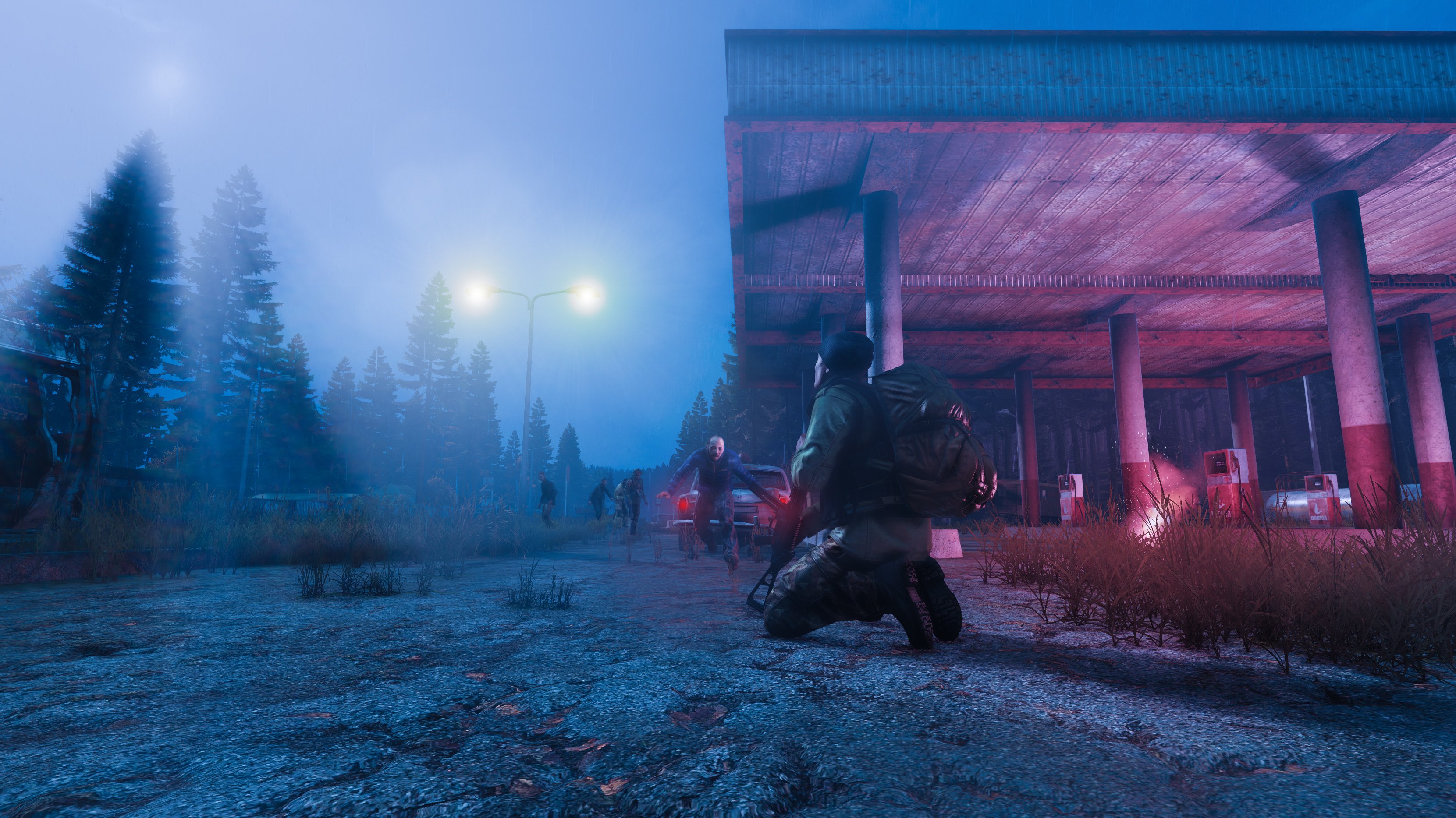 DAYZ атмосфера
