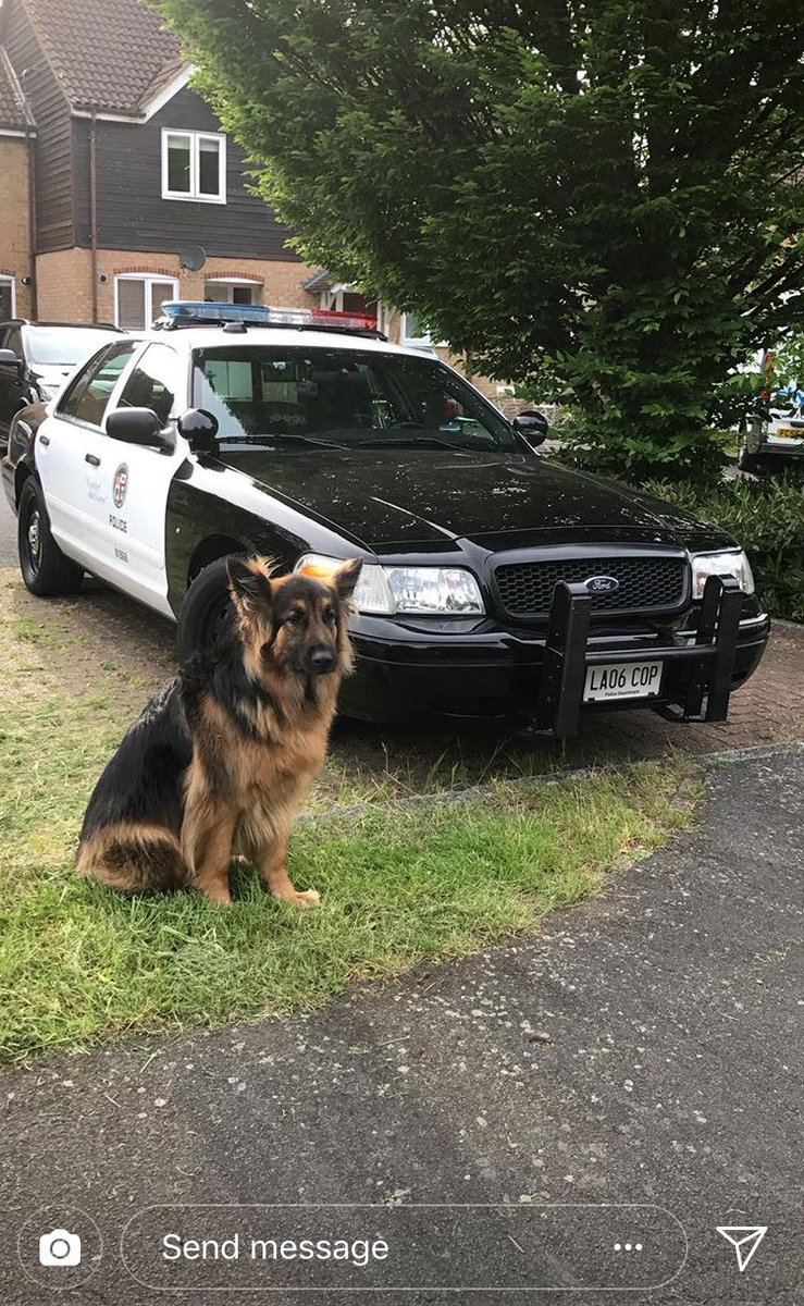 Sarah 305 Fitness tweet media