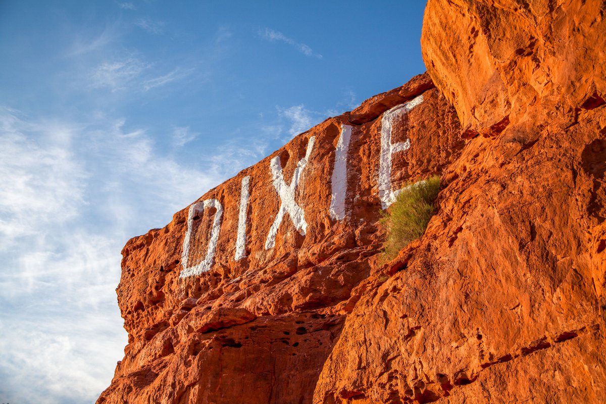 DSUCommStudies's tweet image. 