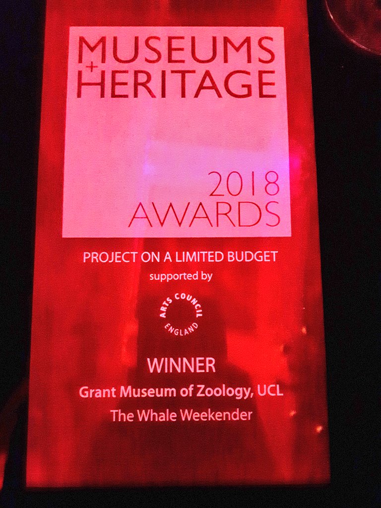 GrantMuseum's tweet photo. Give us a whale-sized whoop! Our #WhaleWeekender project - when 800 people helped us clean and build our whale skeleton - has won a #MandHawards. Whale done us! https://t.co/WTco4f61Lr