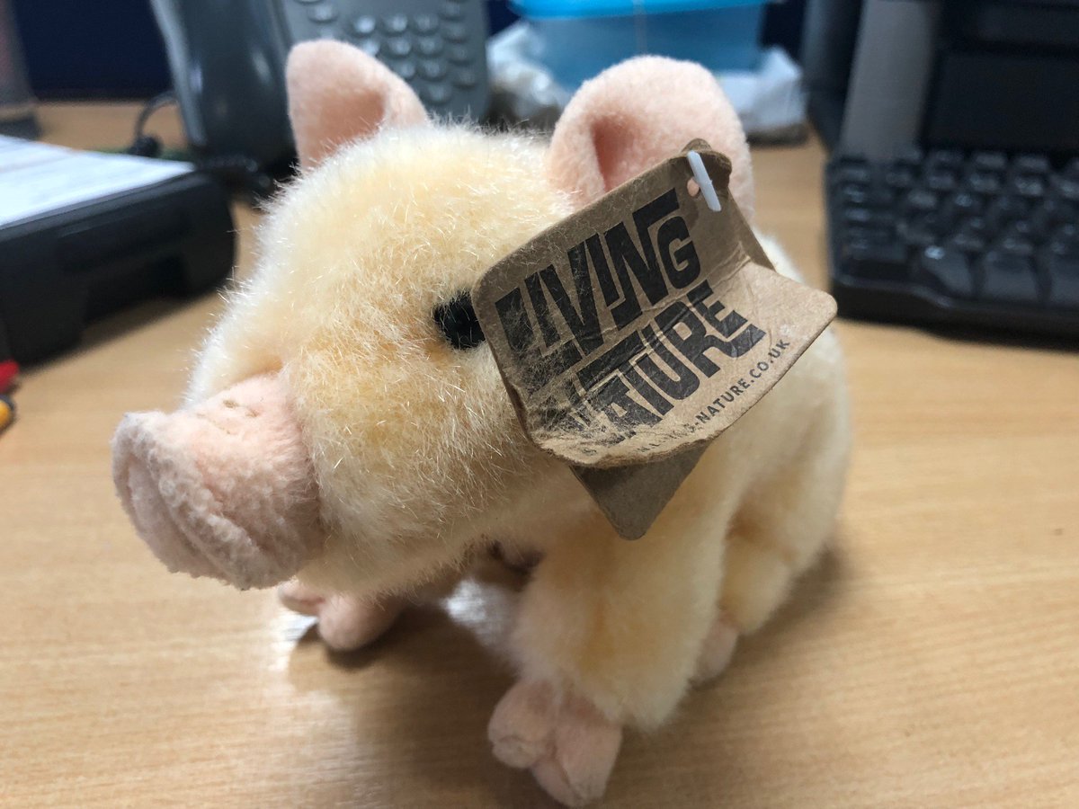 Here at Stagecoach in #Portsmouth we are trying to re-unite a young child with this cuddly animal.  This was dropped on one of our 21 buses. Can you please share to help reunite them together. Should you be able to help please DM us.  #Hampshire #Fratton #Service21  (AH)