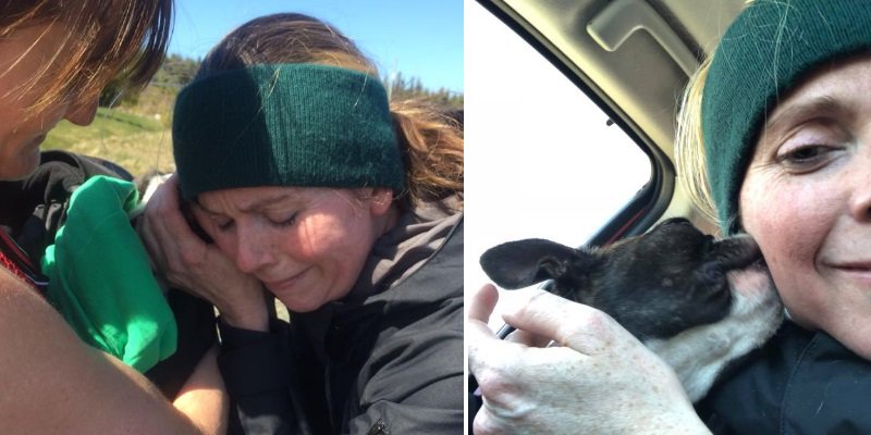 VOCMNEWS's tweet photo. Boston Terrier Reunited with Family After 10 Days Missing
https://t.co/6juRty5III https://t.co/uB7wJ0Kfwt
