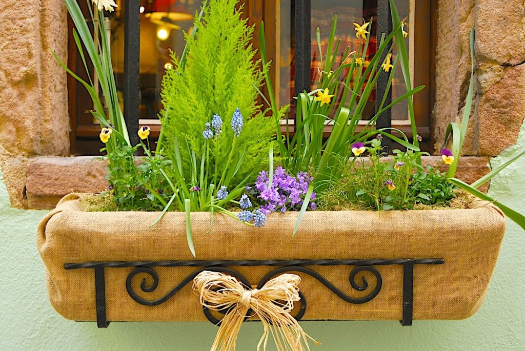 Container #gardening can bring any gorgeous #garden right to your doorstep. They are a lovely addition to a patio or pool area, and can create an inviting entry to your home. buff.ly/2KMlu01  #GardenDesign #landscapedesign