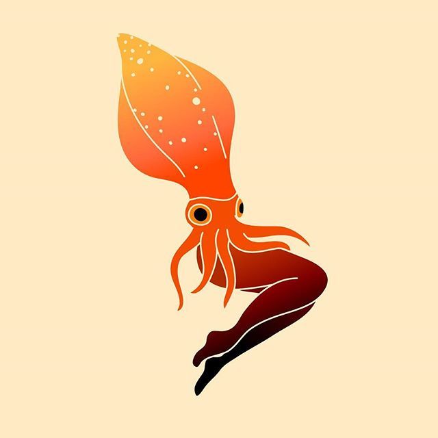 Shoal on X: "Time for another edition of #mermay! This one might be my  favorite so far. What animal should I draw next? 😂 [Image description:  Reverse mermaid with an orange squid