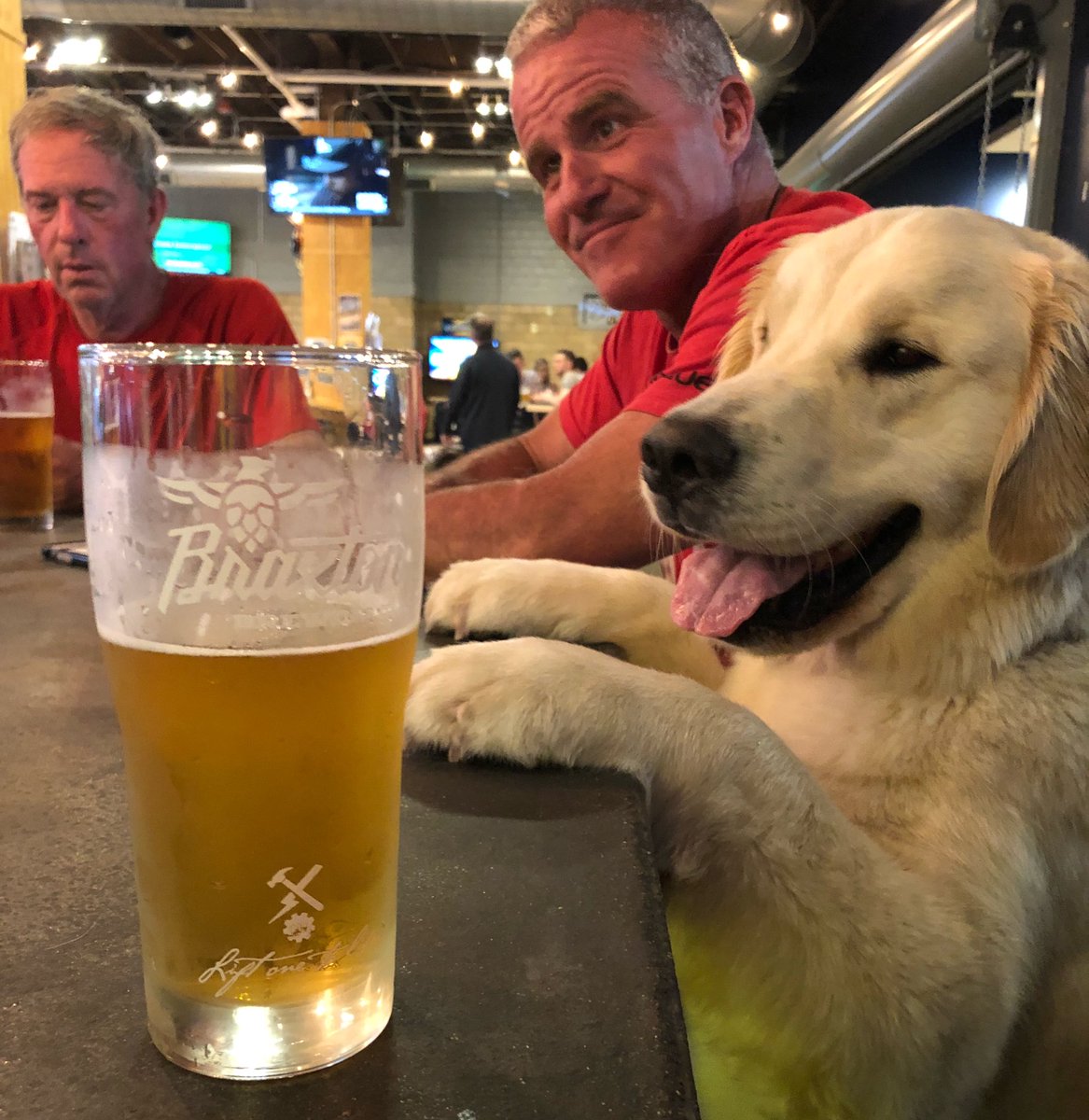 Braxton Brewing Company tweet media