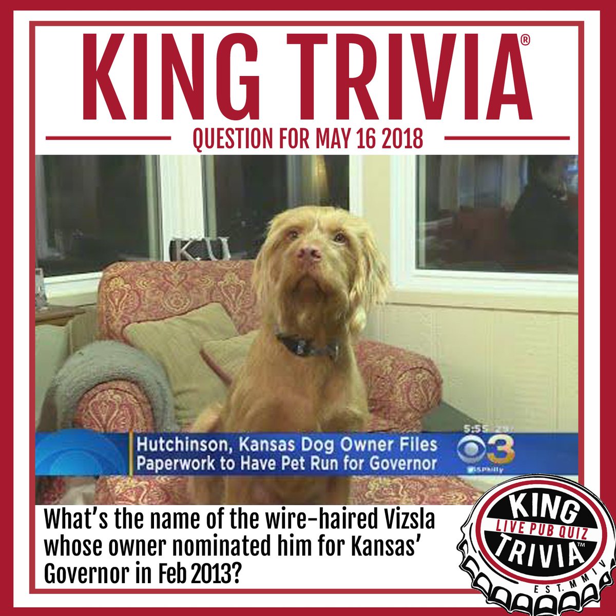 KingTrivia's tweet photo. #kingtrivia #trivia #trivianight #triviagame #pubtrivia #pubquiz #questionoftheday #freeanswer #kansas #governor #vizsla #dog #politics #governor #anguspwooley https://t.co/DsVtAuYZ2g