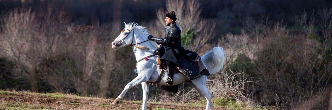 #BeyimizinYolunda dıgıdık dıgıdık
Teşekkürler #DirilişAilesi #DevletimizVarOlsun #DirilisIYIEkibi #DirilişTuranGrupları