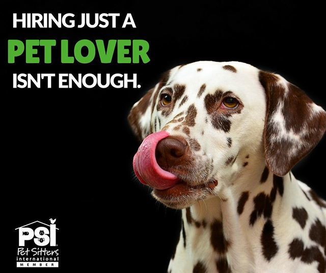 417PetSitting's tweet photo. Save yourself the worry about whether your pet is in good hands. We are licensed, bonded, and insured with a staff of educated pet care professionals for your peace of mind. .
.
.
.
.
.
#417petsitting #417petsitter #springfieldmo #sgf #petsitting #petsit… https://t.co/FwmBiwDFp4 https://t.co/gHHIx68T7Y