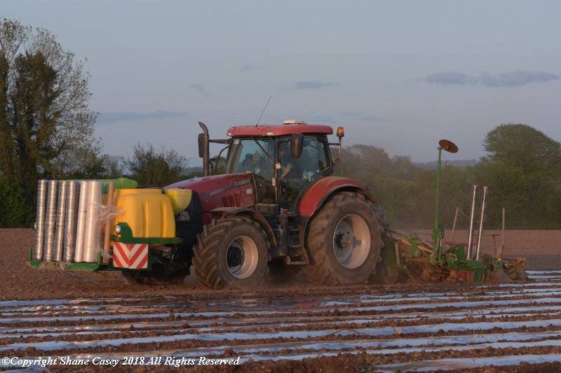 sgcaseyck25's tweet photo. #SpringSowing2018 major push on locally this evening to get the season wrapped up before #Silage2018 really kicks into gear. @NoonanAgri out near home this evening in near ideal conditions for planting and photographing. @samcosystem @CaseIH_UK_IRE @NHAG_UKandROI https://t.co/aJM9IIbik3