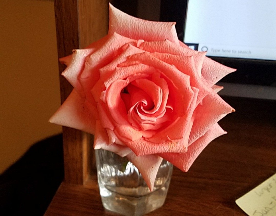 Daine_0510's tweet image. We will be going live in about an hour! Probably get some #keystones done, maybe some #Smite.. we can always find #Shenanigans =) let's gooooo! #SupportSmallStreamers #twitch #StreamerNetwork #flowerpower