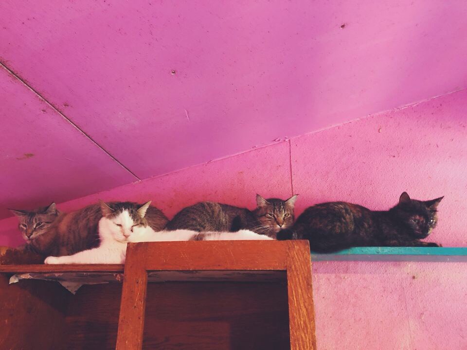 MAB_Seguin's tweet photo. Made some new friends on our first day of service https://t.co/1xqedVXGTo