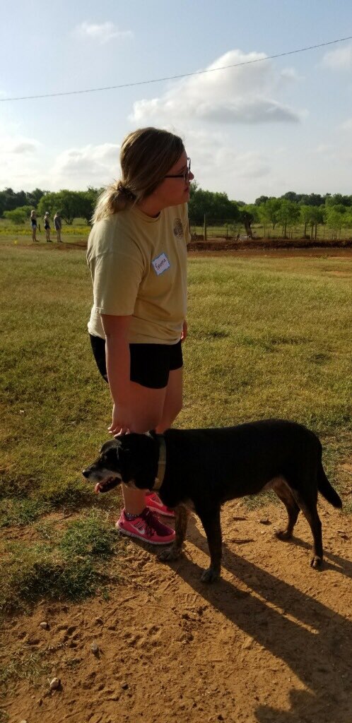 MAB_Seguin's tweet photo. Made some new friends on our first day of service https://t.co/1xqedVXGTo