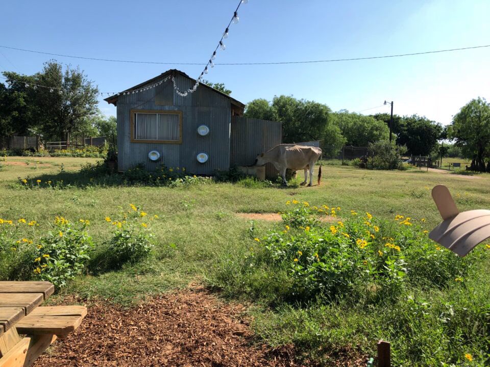 MAB_Seguin's tweet photo. Made some new friends on our first day of service https://t.co/1xqedVXGTo