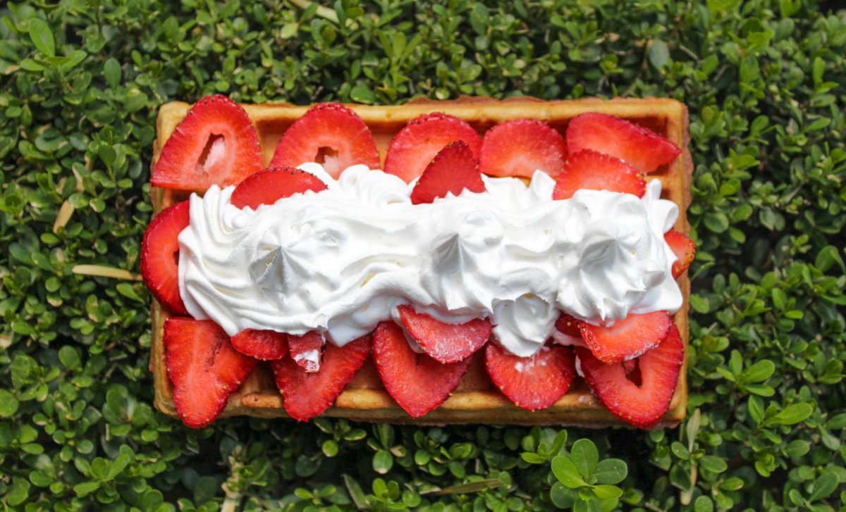 Fresa, Crema Batida y toda la magia de la Combi 😍