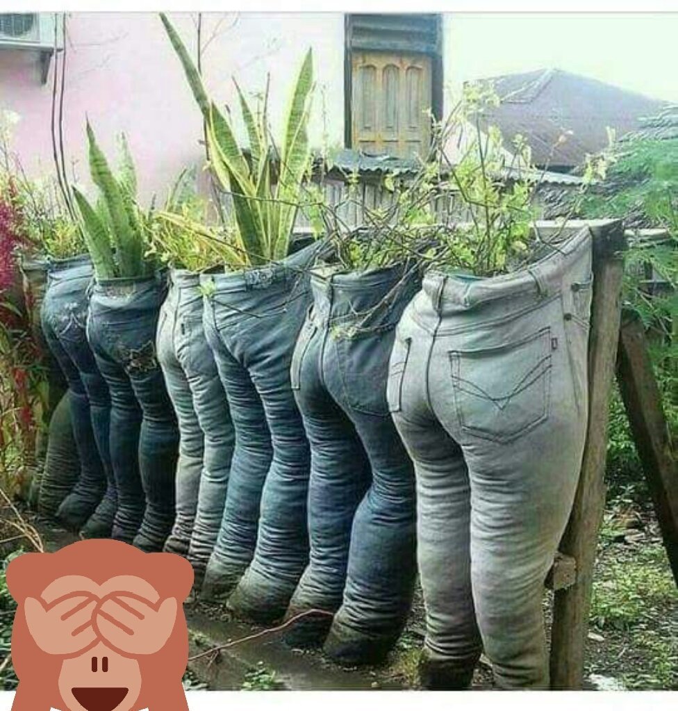TjReasonz's tweet photo. *LADIES*Don't Be a #WideBottom!Eat HEALTHY.Eat The PANTS You PLANT In!And Then EAT OUT In!@KAG4Eva@kathy101252 https://t.co/ZOWAgi5b9X