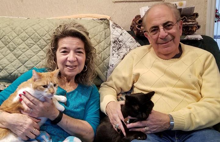 bestfriends's tweet photo. Taking naps, going on walks and lounging around together are just a few things that senior besties, Pyro and Raoul, enjoyed doing together in Cat World at the Sanctuary. But it didn't stop there — they were also adopted together! See their story: https://t.co/CRoDxZgCFf. ^ND https://t.co/c3KHThYTNc