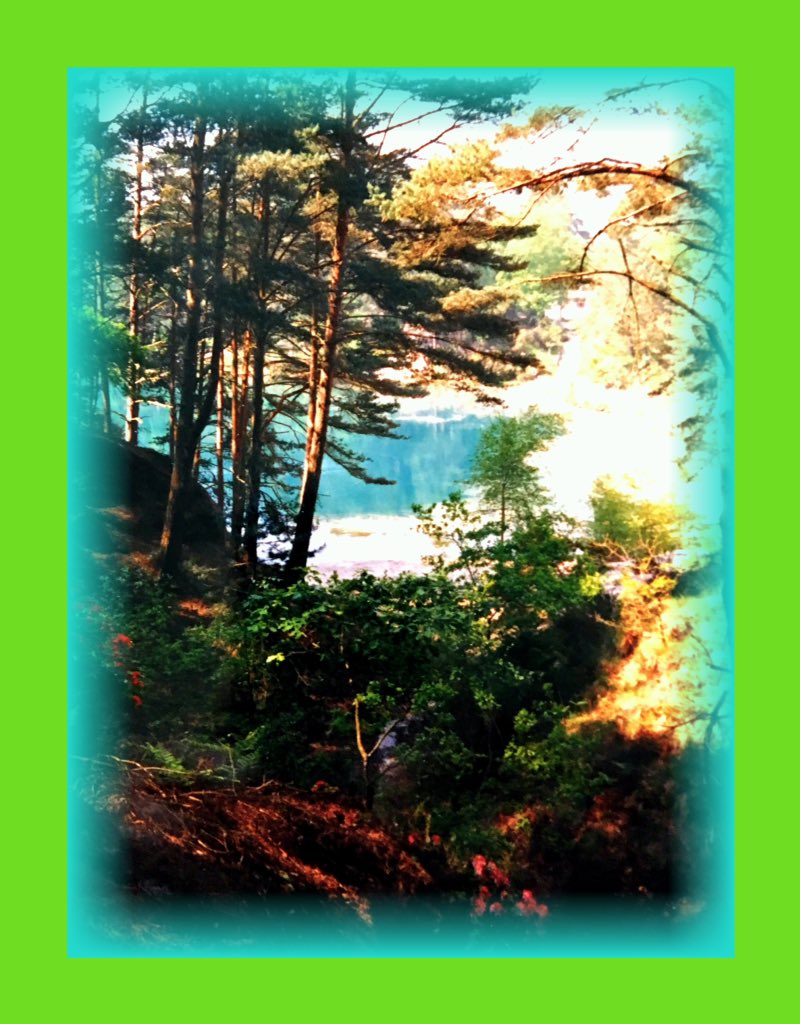 sanshui596's tweet photo. The #BluePool at #Furzebrook varies in #colour. Fine #clay in suspension in the water diffracts #light, producing a #spectrumofcolour #green sometimes #turquoise.#ThePool is surrounded by #25acres of #heath, #woodland and #gorse interlaced with #sandypaths #Wareham #Dorset #ca https://t.co/4VUZCkD6TK