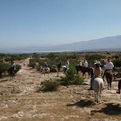 DiscoveryGto's tweet photo. "Lo más importante no es montar, si no la amistad que creas con el Caballo" https://t.co/RS9a1aPtgV