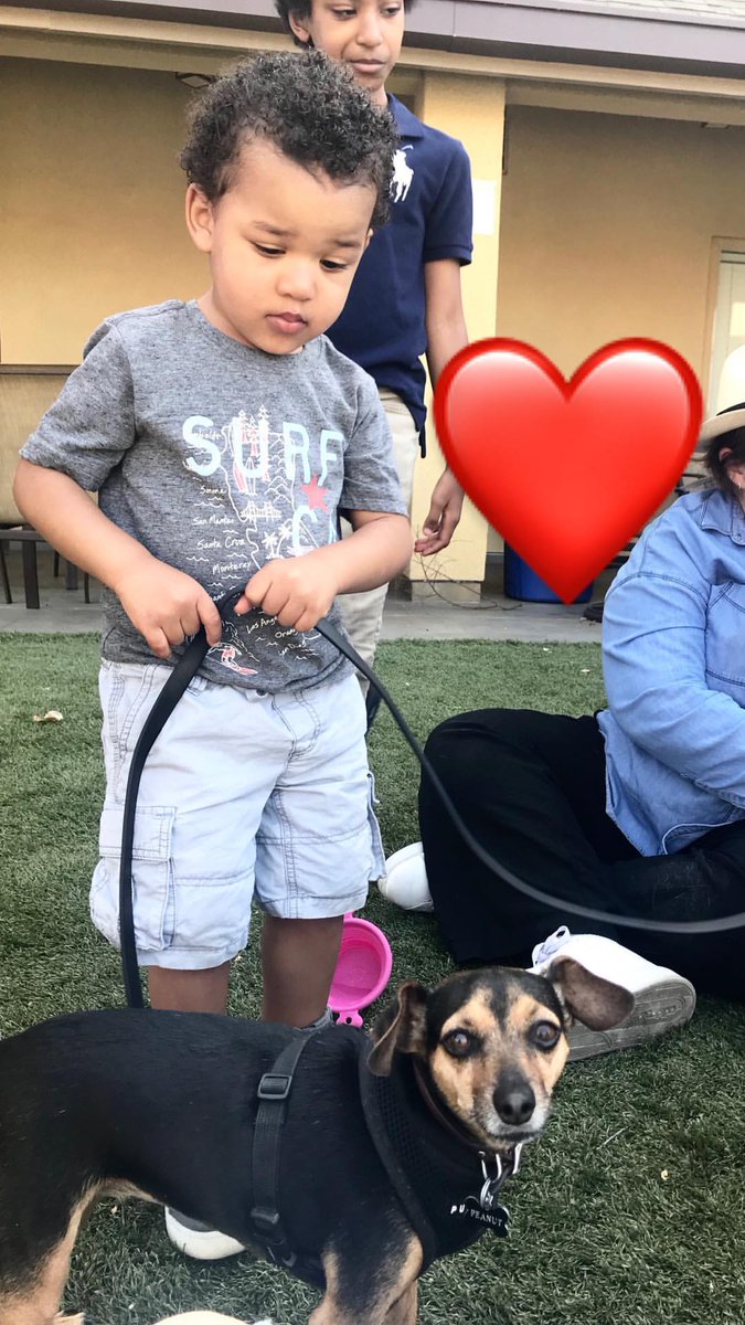 itsdannyg's tweet image. Hats off again to @TigerFrances for their recognition from #GoodShepherdCenter for their #LoveOnPaws program ❤️. From Instagram story 
gschomeless.org
instagram.com/tigerfrances/