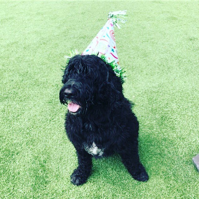 PPRJIA's tweet image. Sky's birthday wish is for everyone to make sure they book with us for Memorial Day!