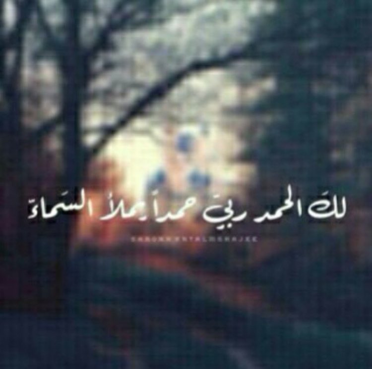 bet__ab00ha (@al_keer_232) on Twitter photo  bet__ab00ha (@al_keer_232) on Twitter photo