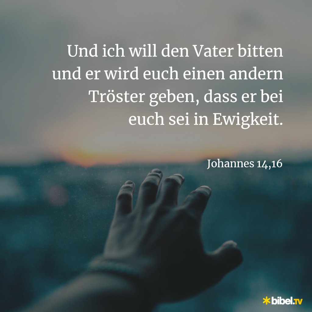 Bibel Trost Nachdenken Uber Die Bibel So Geht Trost Hl 2020 02 12