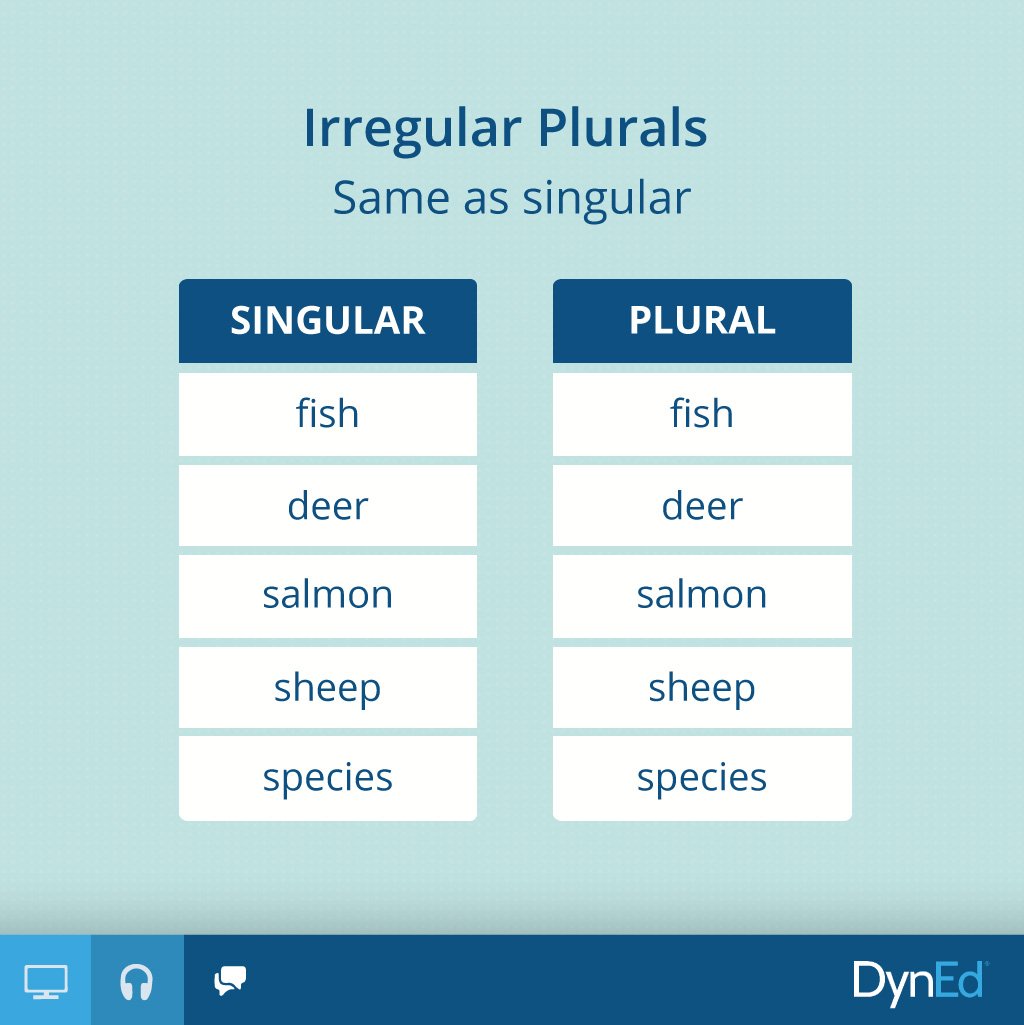 dyned_indonesia's tweet photo. Today’s Irregular Plurals’ type is “same as singular”. 😀
Did you know that both the singular and the plural are the same? 😊
Write another example in the comment section below. 🖊
#DynEd #WordFact #IrregularPlurals https://t.co/lbXdCo2fid