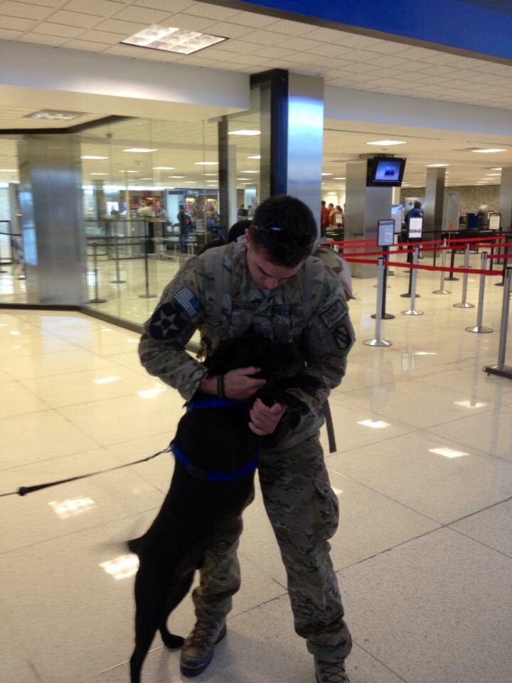 realmcnealv's tweet photo. One of the first to welcome me home from Afghanistan. You brought joy to everyone you met. For such a big heart, I need your current one to keep ticking. I love you. #prayforruger #ruger #Labrador #army https://t.co/3AZlfUeOh8