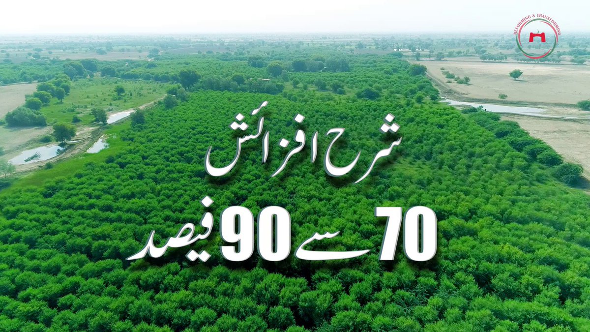 Ten Billion Tree Tsunami On Twitter A Picture Is Worth A