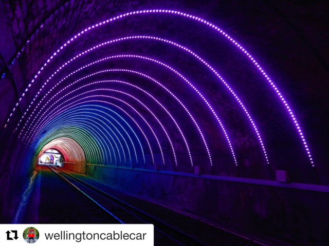 WgtnCC's tweet image. Great to see the @WellyCableCar  lit up today as part of International Day Against Homophobia, Biphobia &amp;amp; Transphobia. #IDAHO. instagram.com/p/Bi2_VwKBdWZ/…