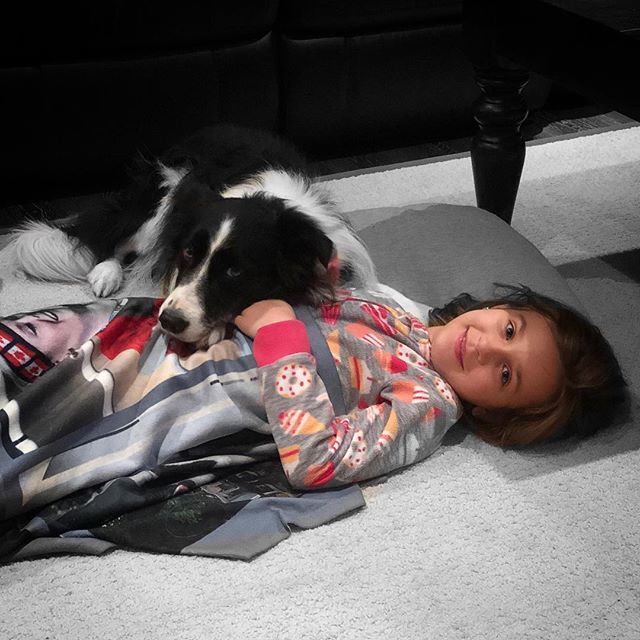 McCannDogs's tweet photo. Pre bedtime snuggles from Grand Slam. Just love adorable moments like these with our #fourleggedfamilymembers .
.
.
.
#dogsandkids #dogsandkidsofinstagram #fourleggedfamily #dogsofburlington https://t.co/gjgkGnUkzM https://t.co/vBYm7wV2FV