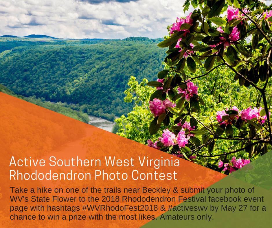 ActiveSWV's tweet photo. Active SWV is excited about the 2018 Rhododendron Festival photo contest. West Virginia's State Flower. Just post your photo to the Rhododendron Festival 2018 - Beckley Raleigh Co WV Facebook page with the hashtags #wvrhodofest18 and #activeswv to enter the contest by May 27th. https://t.co/JC51Q5US4d