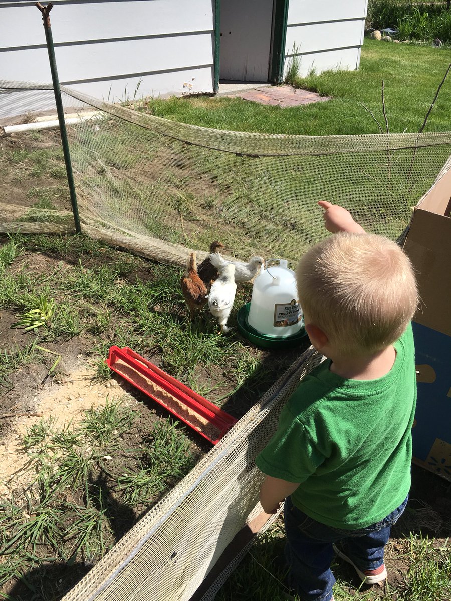 Double Down Outdoors (DbleDwnOutdoors) Twitter